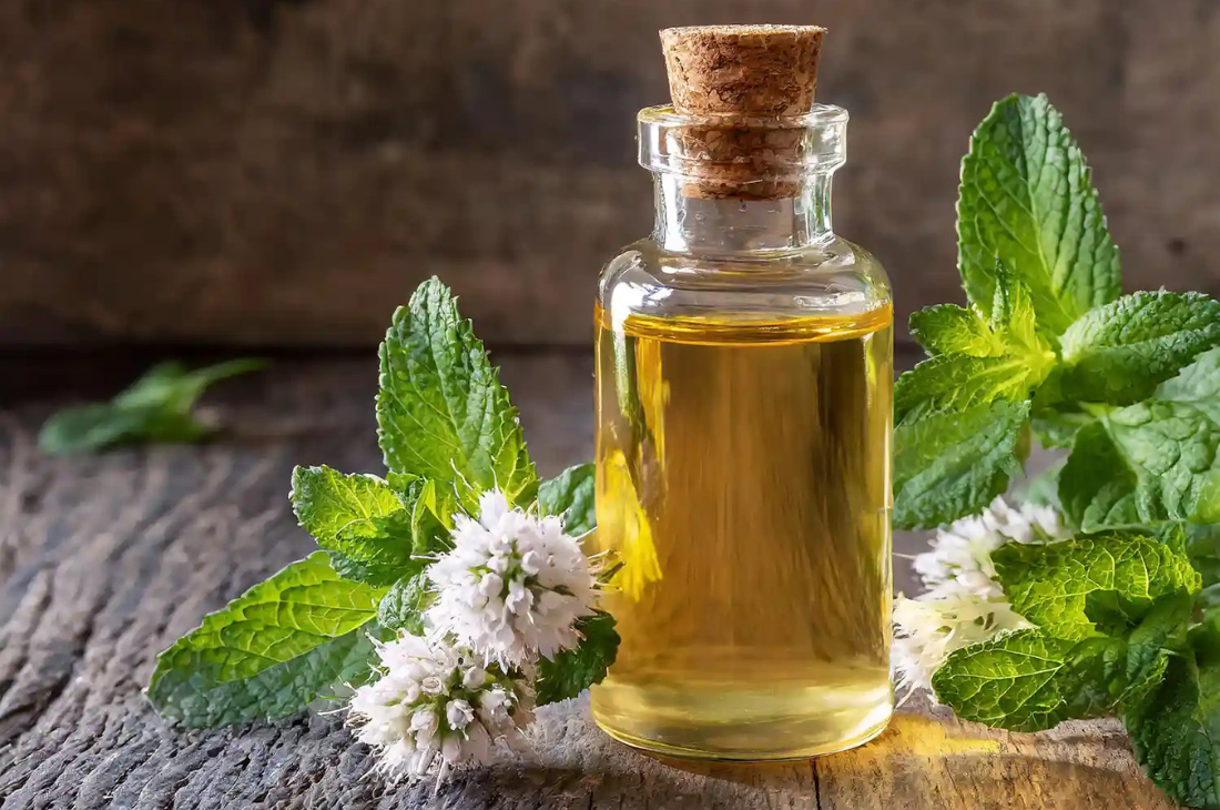 Peppermint-oil-زيت النعناع