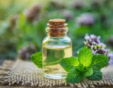 Peppermint-oil-زيت النعناع