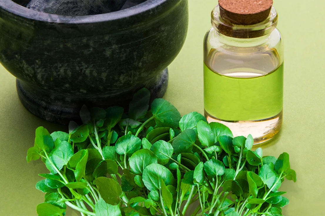 Watercress oil - زيت الجرجير